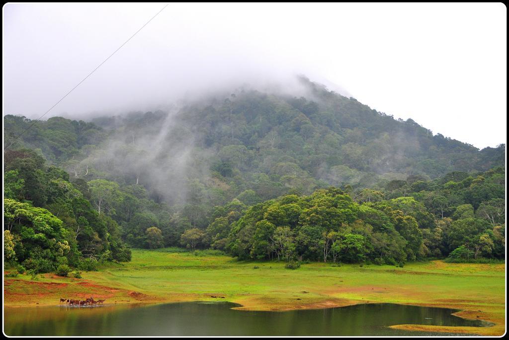 Dean Dale Cottages Thekkady Eksteriør billede